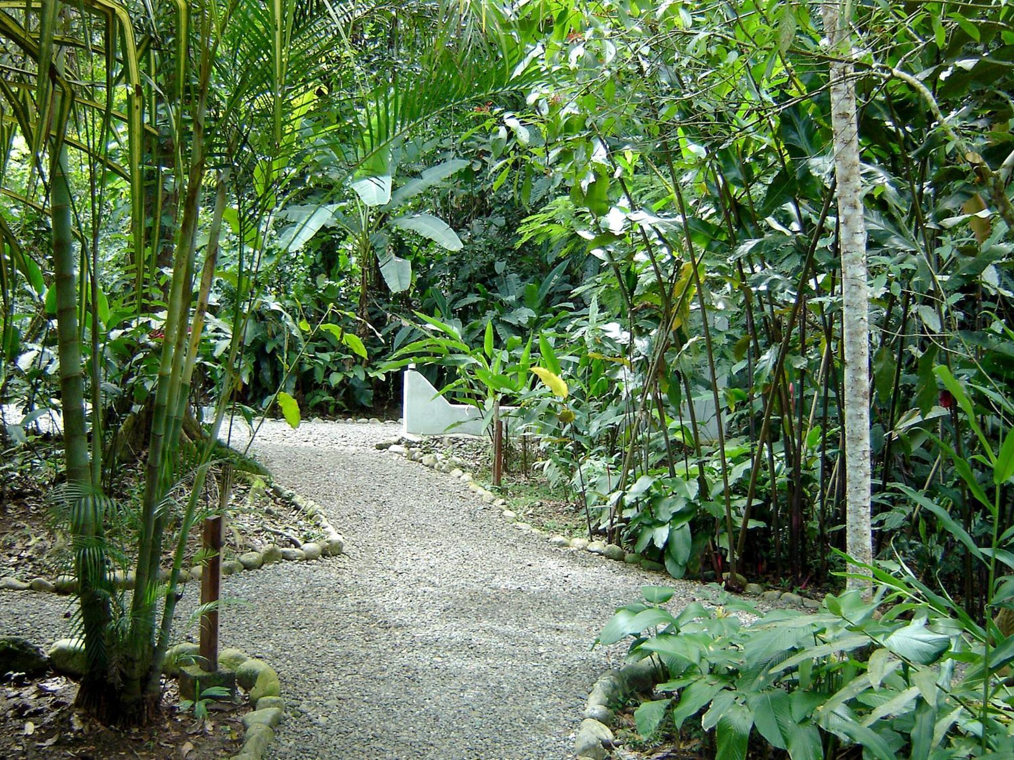 El Colibri Lodge Manzanillo  Exteriér fotografie