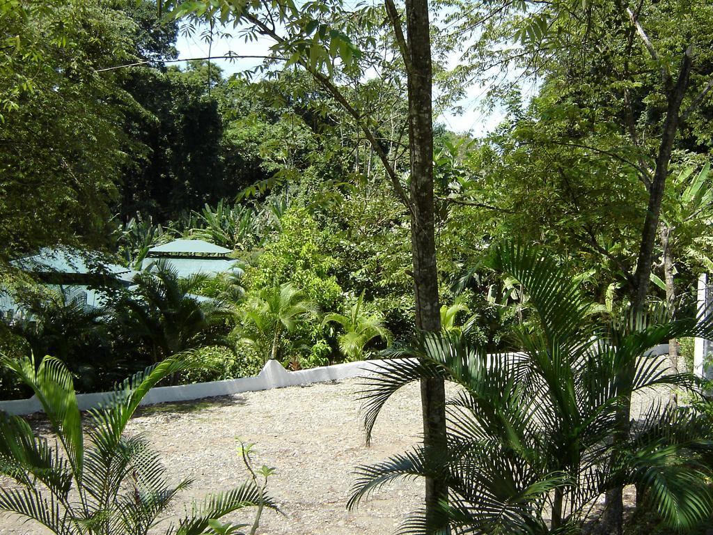 El Colibri Lodge Manzanillo  Exteriér fotografie