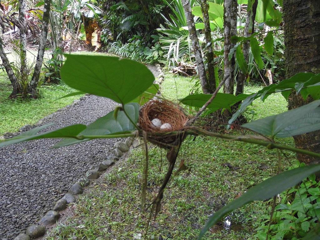 El Colibri Lodge Manzanillo  Exteriér fotografie